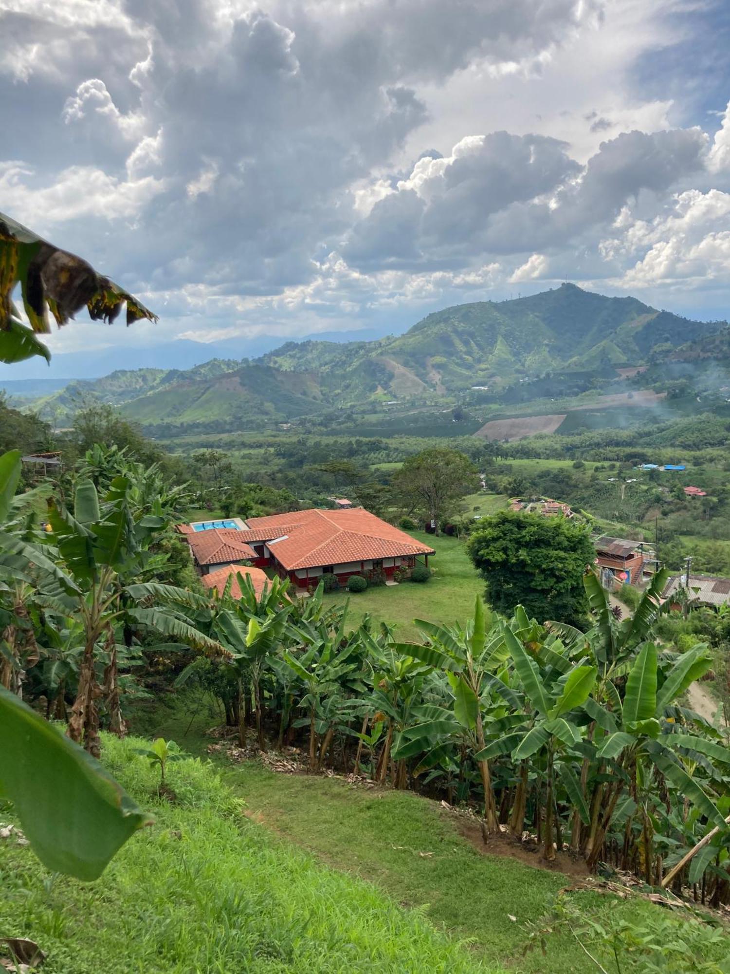 Cafetera El Abanico Pereira