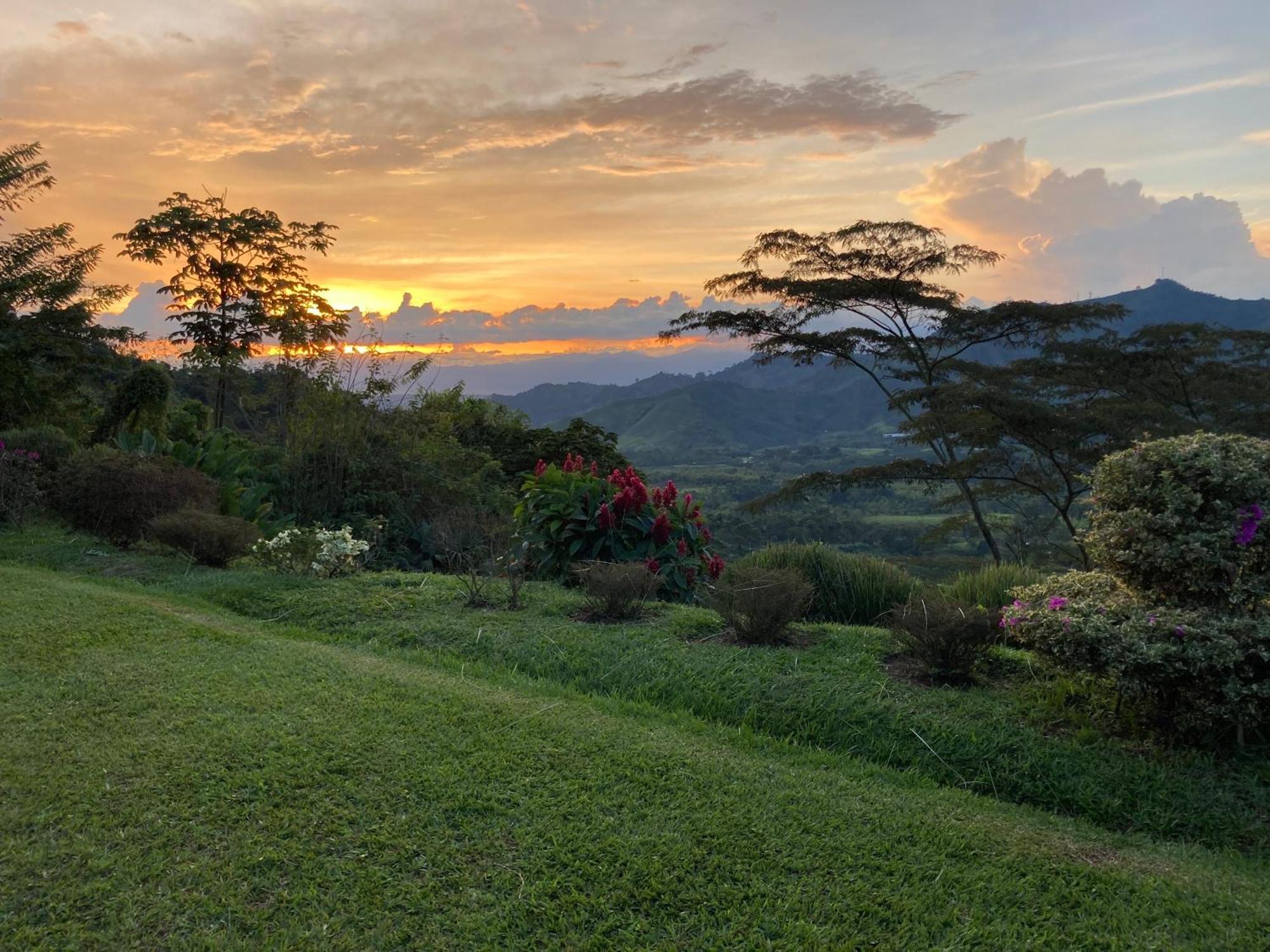 Cafetera El Abanico Pereira